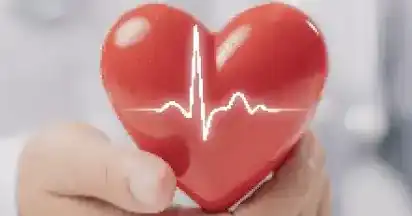 Cardiovascular Heart and Disease