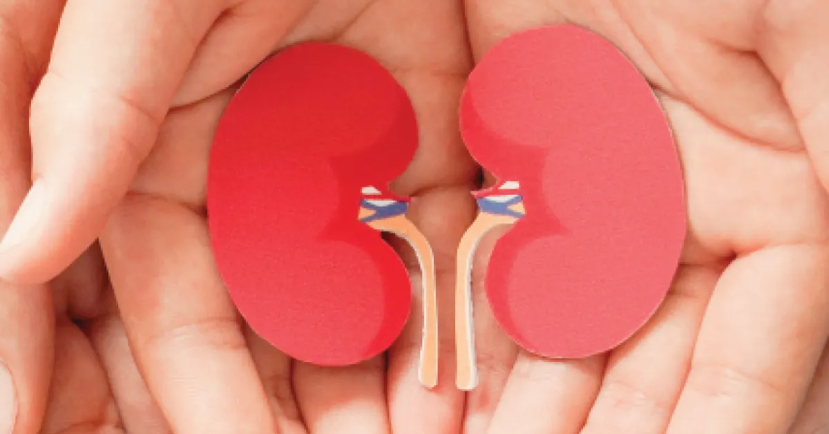 Kidney Diseases AL DIAGNOSTICS UAE